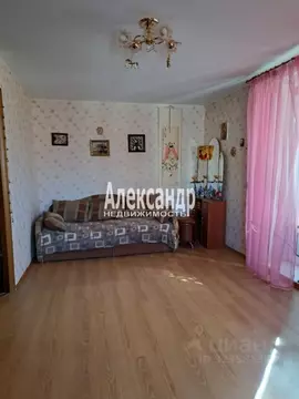 1-к кв. Санкт-Петербург Заневский просп., 23 (31.8 м)