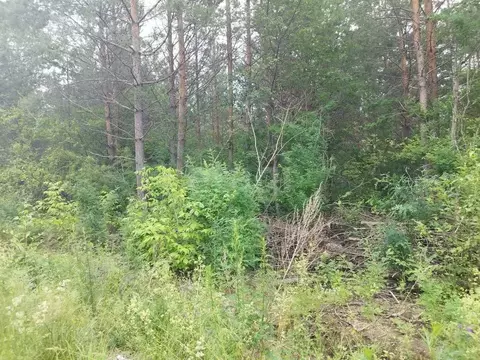 Участок в Свердловская область, Талица  (12.0 сот.)