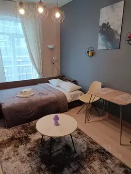 1-к кв. Санкт-Петербург Пулковское ш., 14с6 (24.0 м)