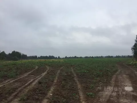 Участок в Московская область, Клин городской округ, д. Теренино  (17.5 ...