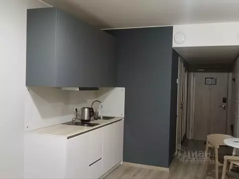 Студия Санкт-Петербург Заозерная ул., 3к3с2 (26.0 м)