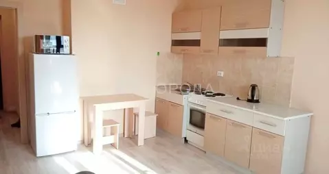 Студия Новосибирская область, Новосибирск Красный просп., 305 (30.0 м)