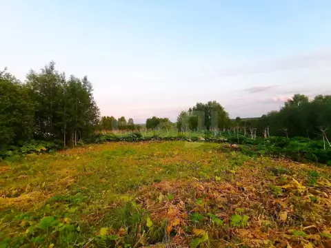 Участок в Коми, Сыктывдинский муниципальный район, Пажга муниципальное ...