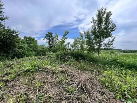 Участок в Калужская область, Дзержинский район, Совхоз имени Ленина ...