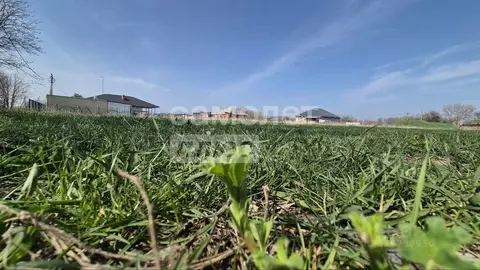 Участок в Краснодарский край, Динской район, с. Красносельское, ...