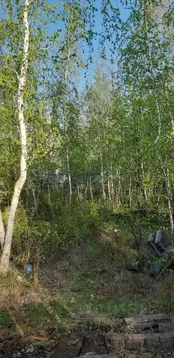 Участок в Саха (Якутия), Якутск ул. Тимофея Бутакова (5.48 сот.)