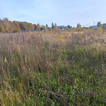 Участок в Чувашия, Чебоксарский муниципальный округ, Кугеси пгт  (5.0 ...