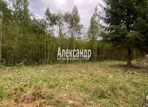 Участок в Ленинградская область, Тосненский район, Трубникоборское ...