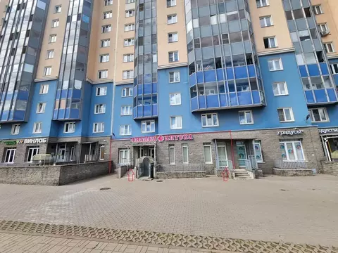 Помещение свободного назначения в Санкт-Петербург ул. Белышева, 5/6 ...