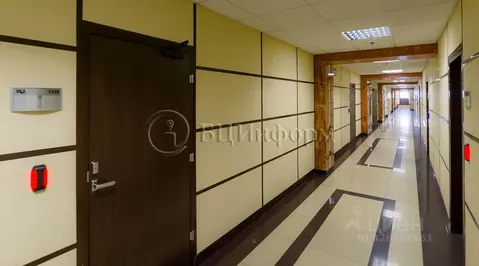 Офис в Санкт-Петербург дор. Торфяная, 7Б (146 м)