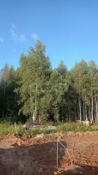 Участок в Калужская область, Калуга  (14.88 сот.)