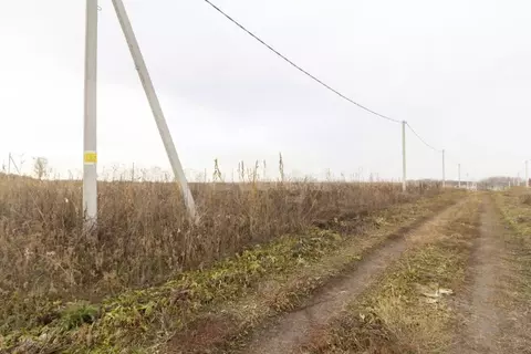 Участок в Тюменская область, Тюменский муниципальный округ, ...