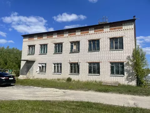 Помещение свободного назначения в Нижегородская область, Павловский ...