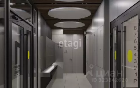 Студия Хабаровский край, Хабаровск Албанский пер. (31.59 м)