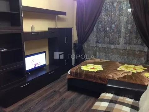 1-к кв. Новосибирская область, Новосибирск ул. Демьяна Бедного, 57 ...