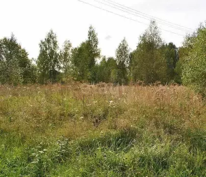 Участок в Калужская область, Жуковский муниципальный округ, Тарутино ...