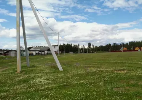 Участок в Владимирская область, Александровский муниципальный округ, ...