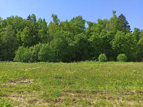 Участок в Московская область, Клин городской округ, д. Борозда  (8.0 ...