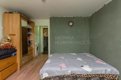 Студия Тюменская область, Тюмень ул. Бабарынка, 16а (17.0 м)