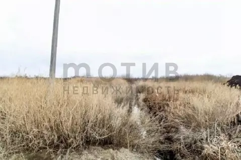 Участок в Тюменская область, Тюмень Тюменский-1 мкр,  (220.02 сот.)