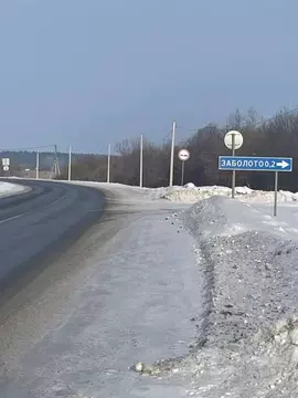 Участок в Пермский край, Пермский муниципальный округ, д. Заболото ул. ...
