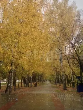 2-к кв. Свердловская область, Екатеринбург ул. Титова, 40 (40.2 м)