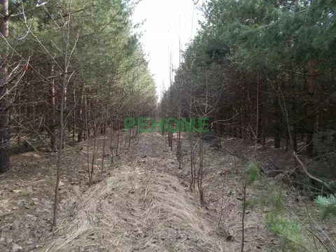 Участок в Саратовская область, Саратов ул. Валентиновская (10.0 сот.)