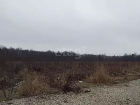 Участок в Брянская область, Брянский район, Новодарковичское с/пос, д. ...