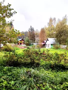 Участок в Москва Заря ОНТ,  (4.95 сот.)