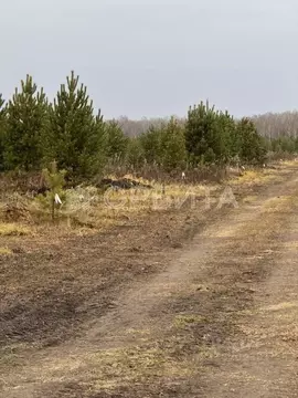 Участок в Тюменская область, Тюменский муниципальный округ, с. ...
