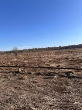 Участок в Ленинградская область, Ломоносовский район, Лопухинское ...