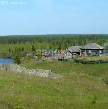 Участок в Пермский край, муниципальный округ Березники, деревня Белая ...