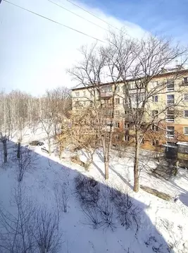 2-к кв. Челябинская область, Миасс Молодежная ул., 32 (45.8 м)