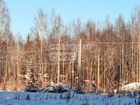 Участок в Коми, Сыктывкар ул. 10-я Линия (14.0 сот.)