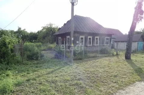 Дом в Брянская область, Жуковка ул. Шевченко (54 м)