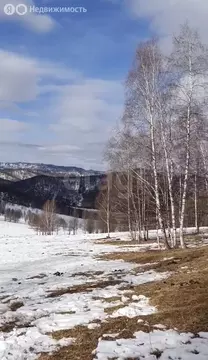 Участок в Чемальский район, Чемальский тракт (250 м)