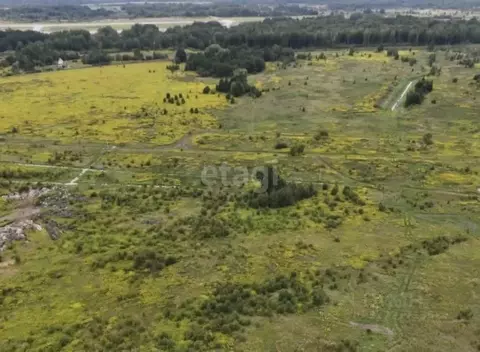 Участок в Калининградская область, Зеленоградский муниципальный округ, ...