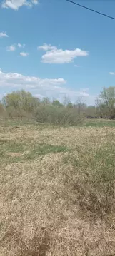 Участок в Московская область, Шатура муниципальный округ, с. Пышлицы ...