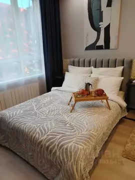 Студия Москва ул. Лобановский Лес, 9 (28.0 м)