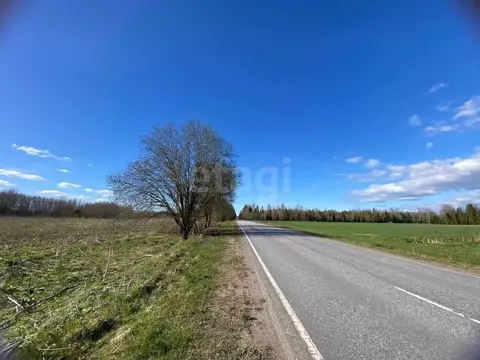 Участок в Ленинградская область, Волховский район, Бережковское с/пос, ...