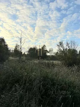 Участок в Псковская область, Себежский район, Идрица рп  (10.0 сот.)