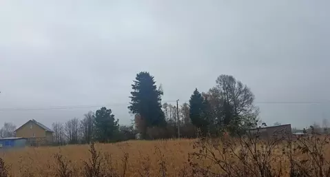 Участок в Московская область, Дмитровский муниципальный округ, д. ...