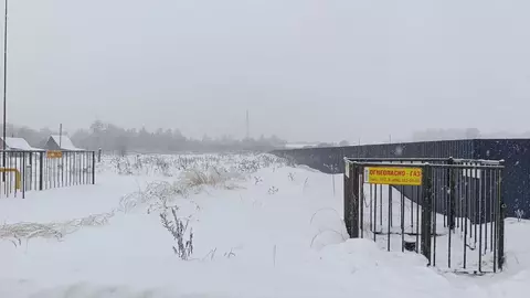 Участок в Московская область, Можайский муниципальный округ, д. ...