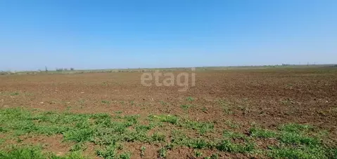 Участок в Крым, Кировский район, с. Владиславовка ул. Степная (405.5 ...