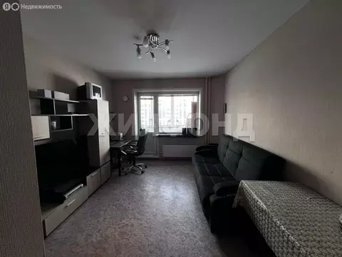 Квартира-студия: Новосибирск, улица Петухова, 164 (27 м)