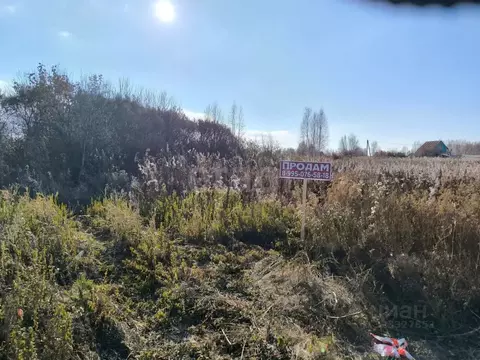 Участок в Красноярский край, Емельяновский муниципальный округ, ...