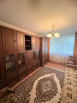 2-к кв. Санкт-Петербург пос. Шушары, Школьная ул., 24 (51.0 м)