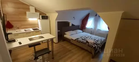 Студия Оренбургская область, Оренбург Липовая ул., 2 (22.0 м)