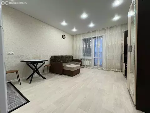 1-комнатная квартира: Казань, улица Ярышлар, 4 (25 м)