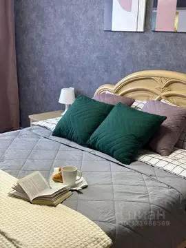 1-к кв. Самарская область, Самара Белорусская ул., 26 (42.0 м)